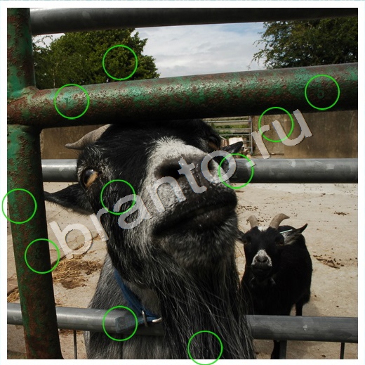 игра Скрытые номера ответы в одноклассниках на Уровень 140