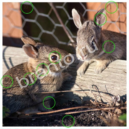 Помощь на игру ВК Скрытые номера Уровень 164