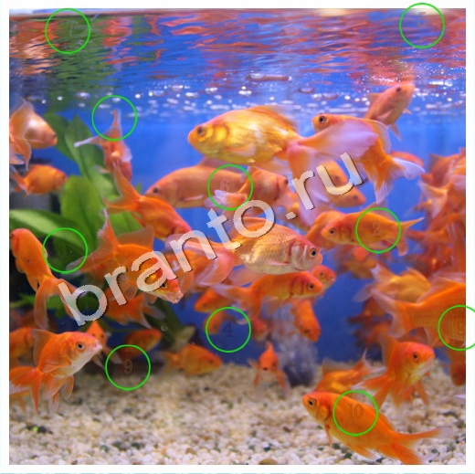 Скрытые номера игра ответы в одноклассниках Уровень 167