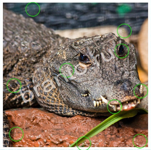 решебник на игру Скрытые номера Уровень 171