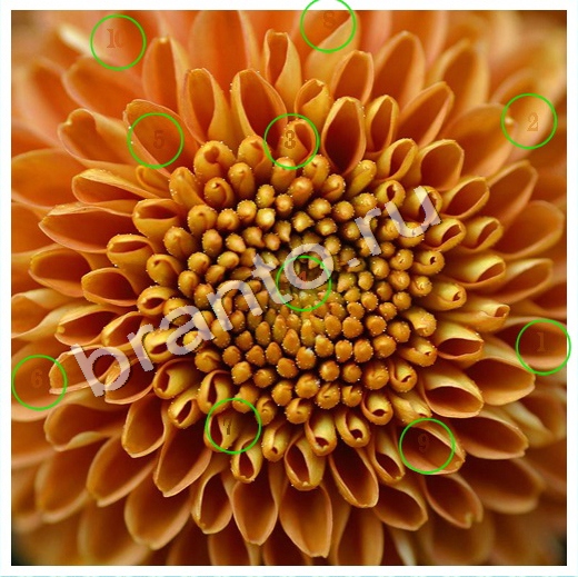 Скрытые номера игра в одноклассниках помощь Уровень 175