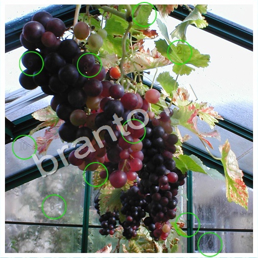 Скрытые номера ответы в картинках в контакте Уровень 176