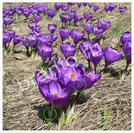 игра Скрытые номера ответы в одноклассниках на Уровень 180