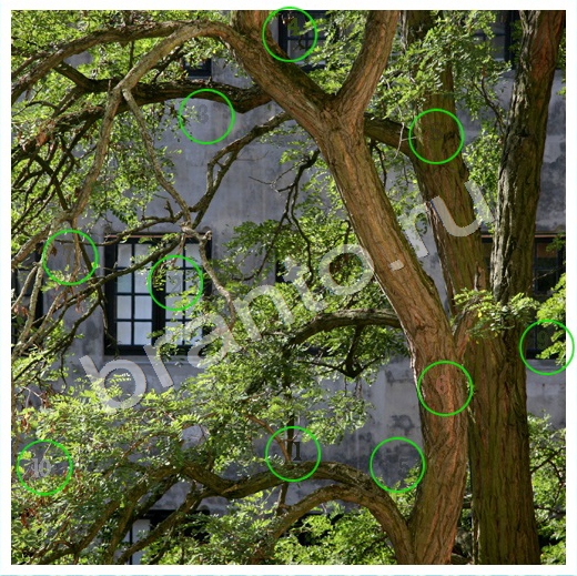 Решения на игру Скрытые номера Уровень 183