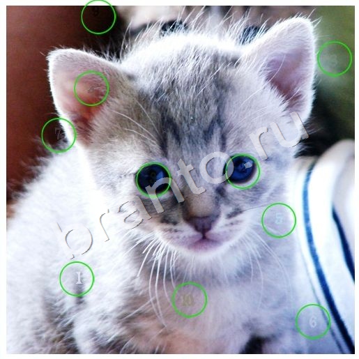 ответы к игре Скрытые номера Уровень 185