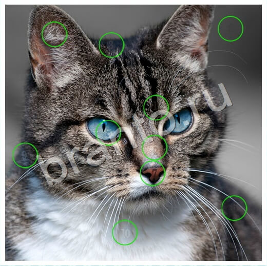 ответы на игру Скрытые номера в одноклассниках Уровень 221