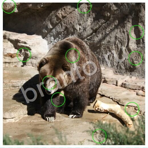 Решения на игру Скрытые номера Уровень 223