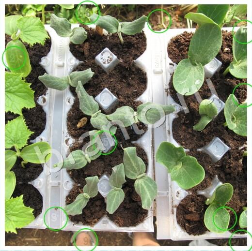 Скрытые номера игра ответы в одноклассниках Уровень 227