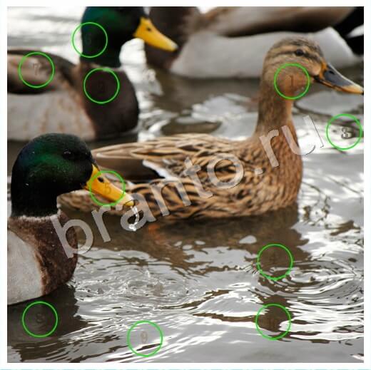 Одноклассники Скрытые номера ответы Уровень 228