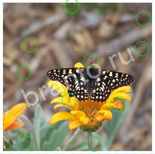 Скрытые номера подсказки в контакте Уровень 229