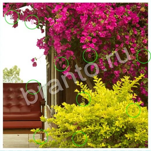 решебник на игру Скрытые номера Уровень 231