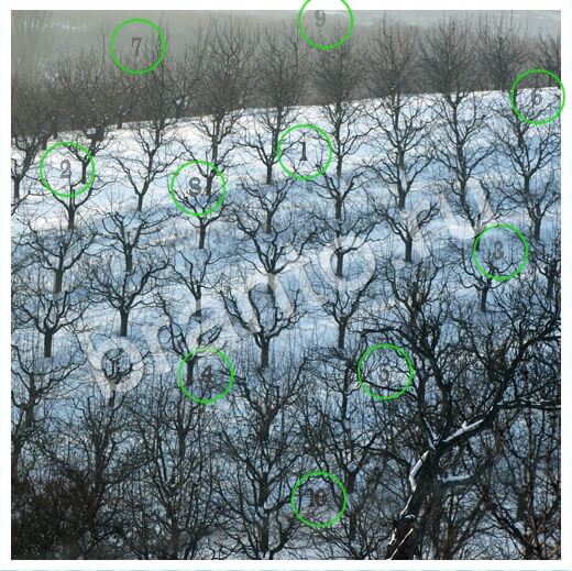 Скрытые номера игра ответы Уровень 233