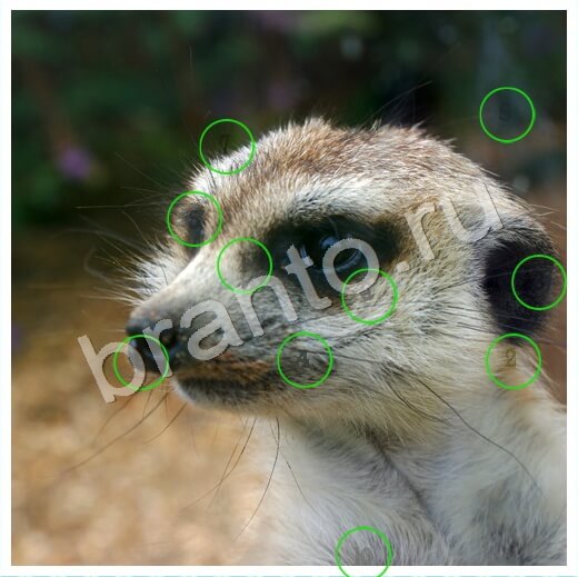 Скрытые номера ответы в картинках в контакте Уровень 236