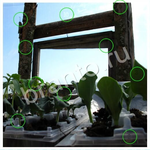 игра Скрытые номера помощь одноклассники Уровень 239