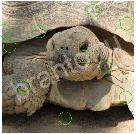 ответы к игре Скрытые номера Уровень 245