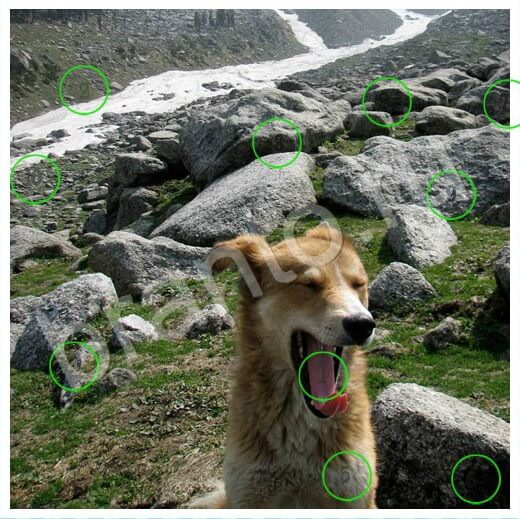 Скрытые номера ответы в картинках в контакте Уровень 256