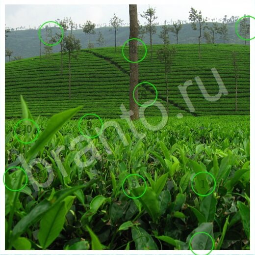 Игра Скрытые номера ответы вк Уровень 257