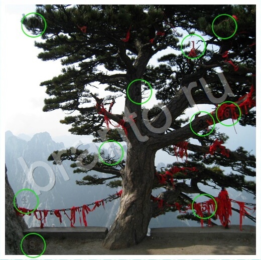 игра Скрытые номера помощь одноклассники Уровень 259