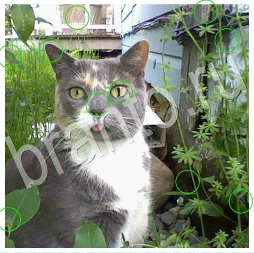 ответы на игру Скрытые номера в одноклассниках Уровень 261