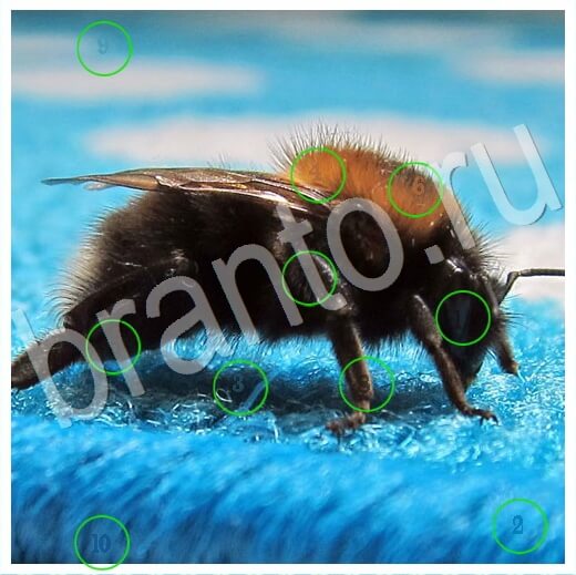 Помощь на игру ВК Скрытые номера Уровень 264