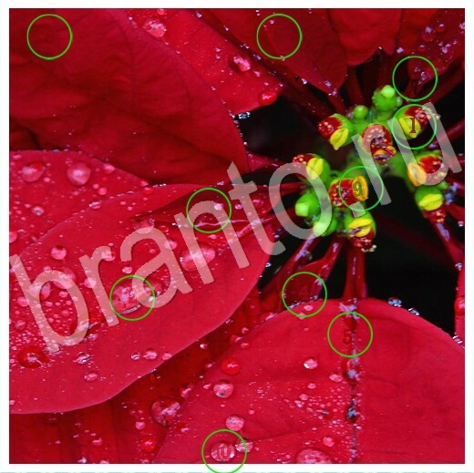 Скрытые номера подсказки в контакте Уровень 269