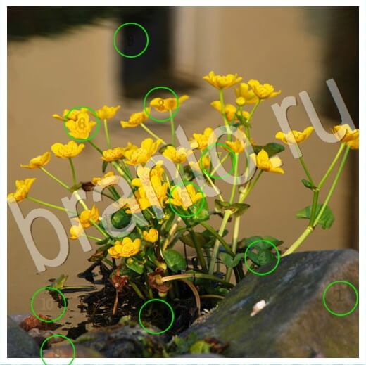 решебник на игру Скрытые номера Уровень 271