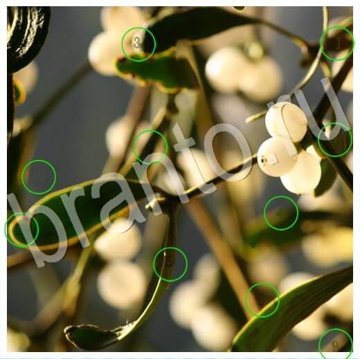 Скрытые номера игра ответы Уровень 273