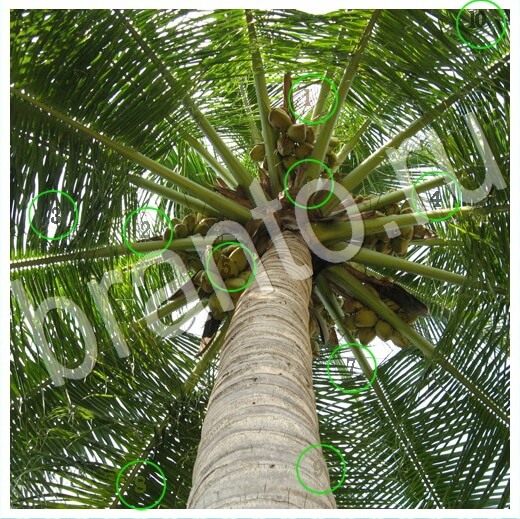 Игра Скрытые номера подсказки вк Уровень 278