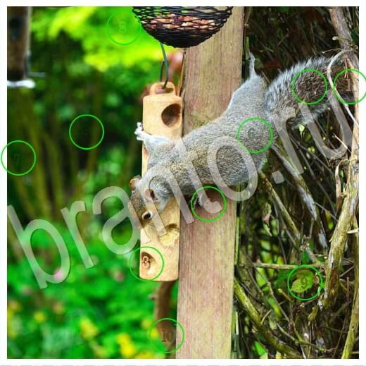 Решения на игру Скрытые номера Уровень 283