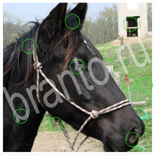 решебник на игру Скрытые номера Уровень 291