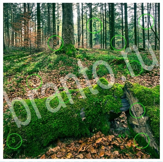 Скрытые номера игра подсказки Уровень 294