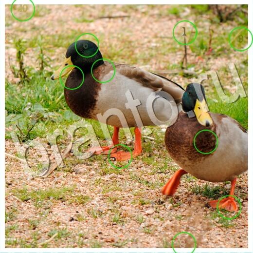 Скрытые номера решения Уровень 312