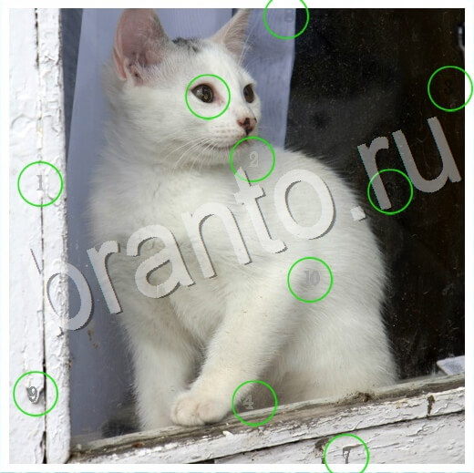 Скрытые номера игра в одноклассниках помощь Уровень 315