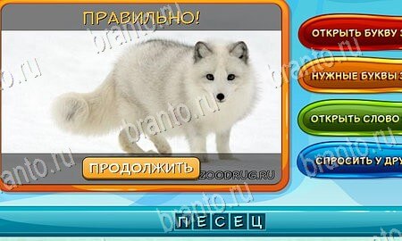 ответы на игру Собаки и кошки в одноклассниках Уровень 27