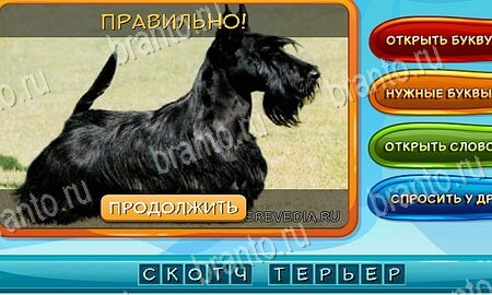 Подсказки на игру Собаки и кошки Эпизод 2 Уровень 28