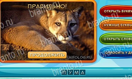 Решения на игру Собаки и кошки Эпизод 2 Уровень 29