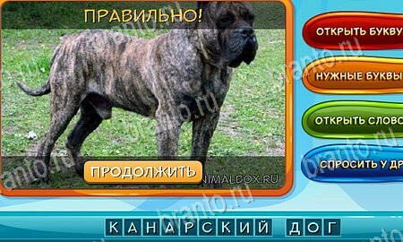 Помощь на игру ВК Собаки и кошки Уровень 30