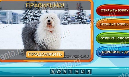 Одноклассники Собаки и кошки ответы Уровень 34