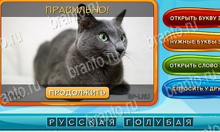 решебник на игру Собаки и кошки Уровень 37