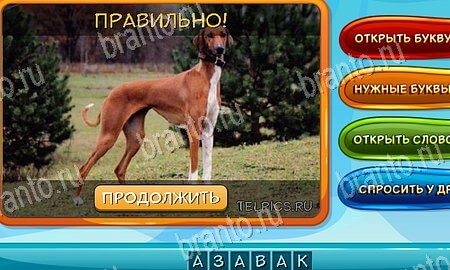Собаки и кошки решения на игру из одноклассников Уровень 38