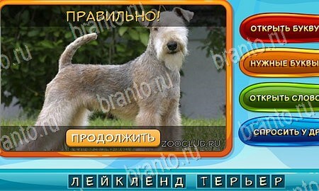 Игра Собаки и кошки ответы одноклассники, вк Уровень 43