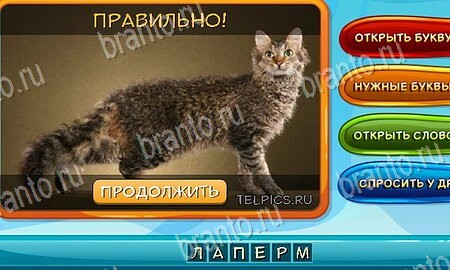 игра Собаки и кошки помощь одноклассники Уровень 45