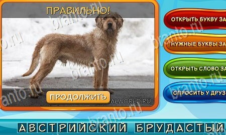 решебник на игру Собаки и кошки Уровень 47