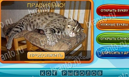 ответы на игру Собаки и кошки в одноклассниках Уровень 7