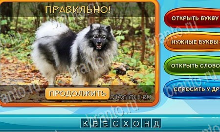 Подсказки на игру Собаки и кошки Эпизод 3 уровень 3