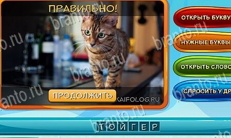 Собаки и кошки подсказки в контакте Уровень 60