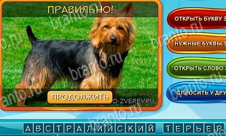 Собаки и кошки ответы в картинках в контакте Уровень 67