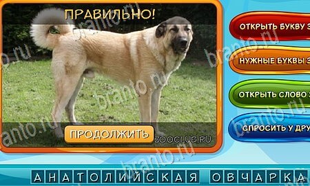 Игра Собаки и кошки ответы одноклассники, вк Уровень 68