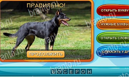 Игра Собаки и кошки подсказки вк Уровень 69
