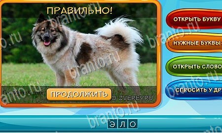 игра Собаки и кошки ответы в одноклассниках на Уровень 71